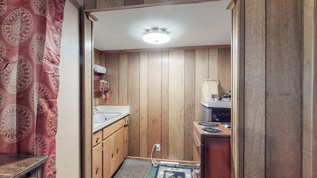 bathroom with sink and wooden walls