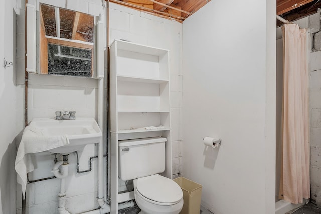 bathroom with toilet, sink, and a shower with shower curtain