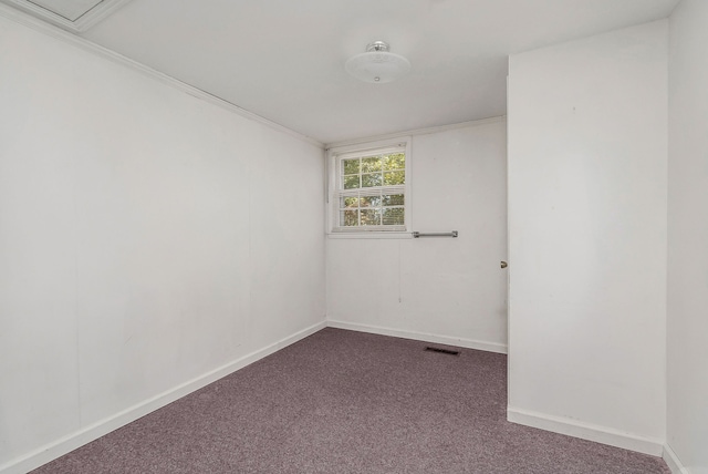 spare room featuring carpet and ornamental molding