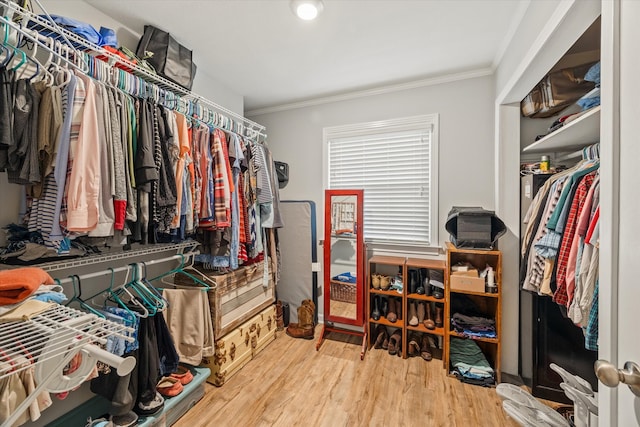 spacious closet with hardwood / wood-style flooring