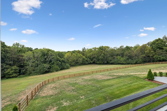 view of yard featuring a rural view