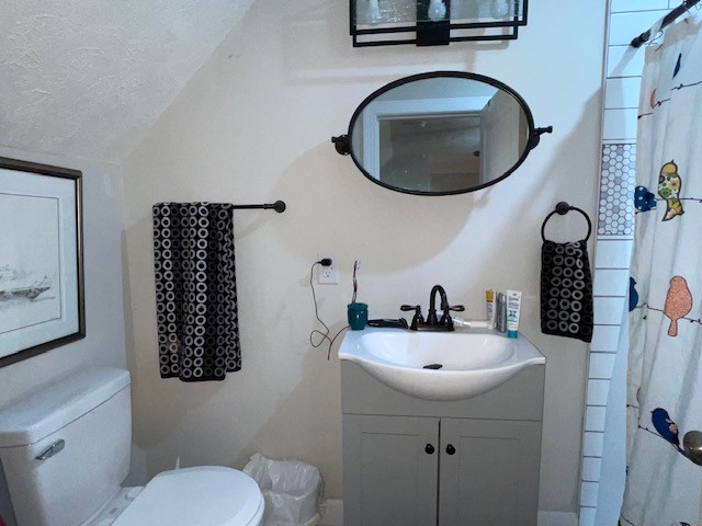 bathroom featuring toilet, vanity, a textured ceiling, and curtained shower