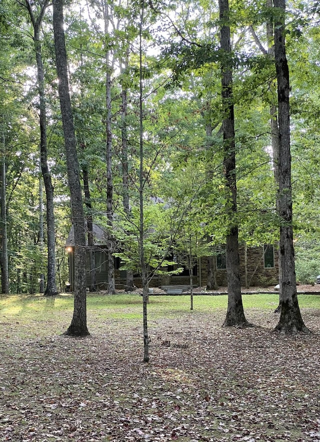2271 Timberwood Trce, Monteagle, TN 37356 - view of yard