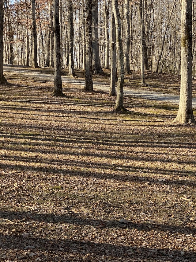 2271 Timberwood Trce, Monteagle, TN 37356 - view of yard