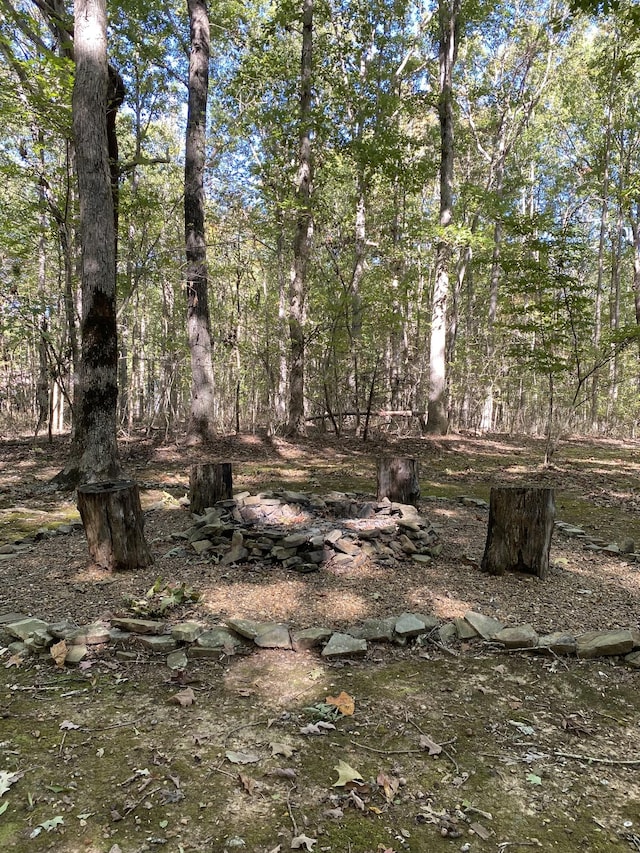 2271 Timberwood Trce, Monteagle, TN 37356 - view of local wilderness
