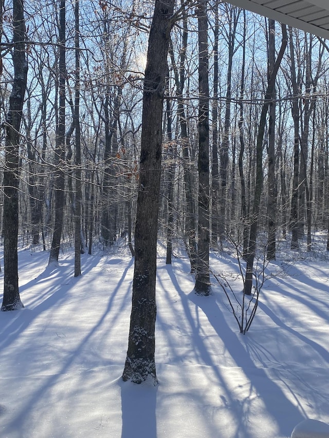 2271 Timberwood Trce, Monteagle, TN 37356 - view of yard covered in snow