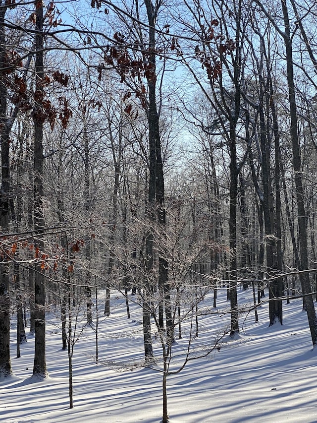 2271 Timberwood Trce, Monteagle, TN 37356 - view of snowy yard