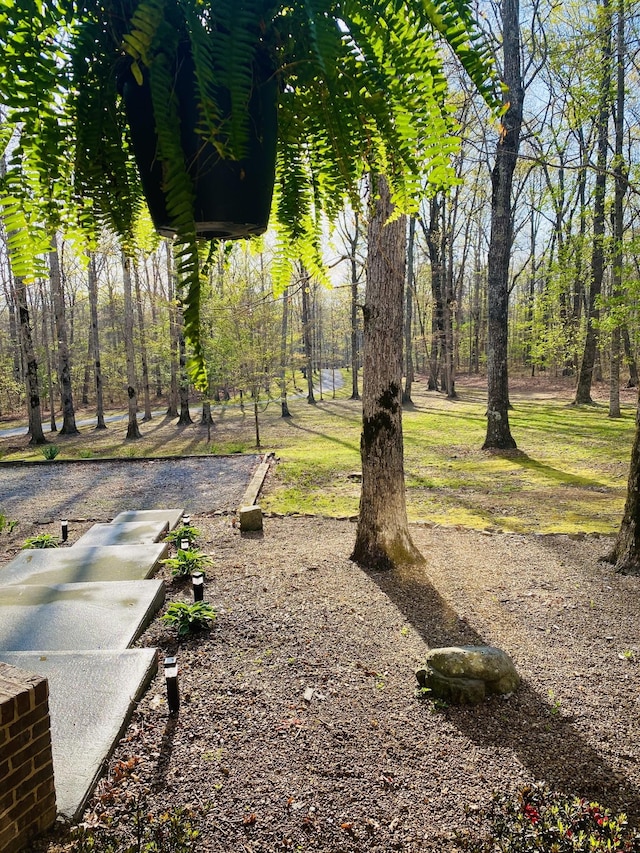 2271 Timberwood Trce, Monteagle, TN 37356 - view of home's community