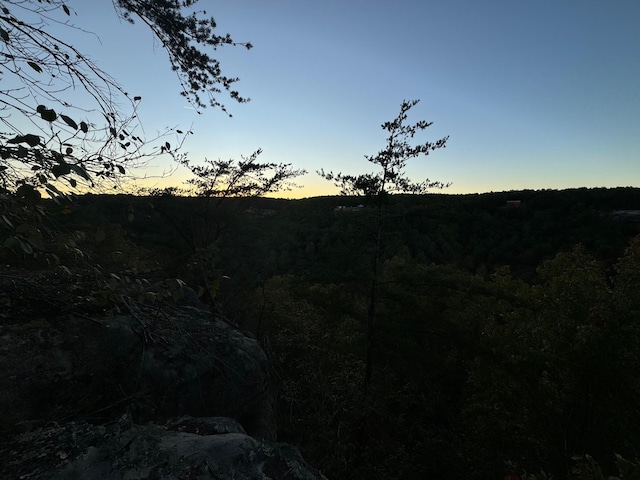 0 Panther Falls Rd, Wilder, TN 38589