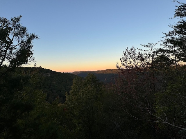 0 Panther Falls Rd, Wilder, TN 38589