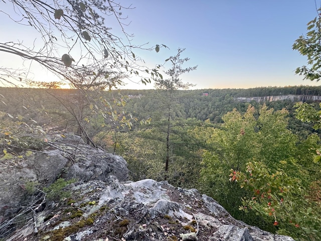 0 Panther Falls Rd, Wilder, TN 38589