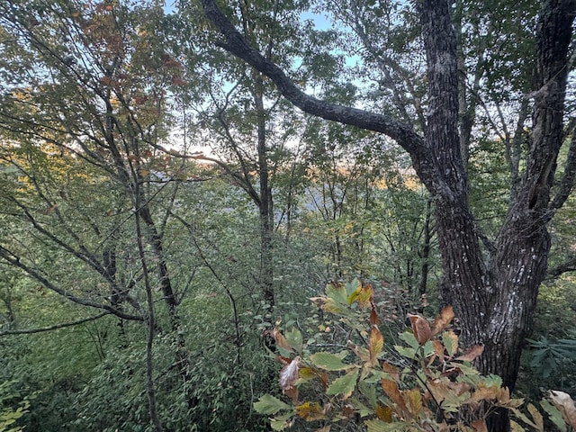 0 Panther Falls Rd, Wilder, TN 38589
