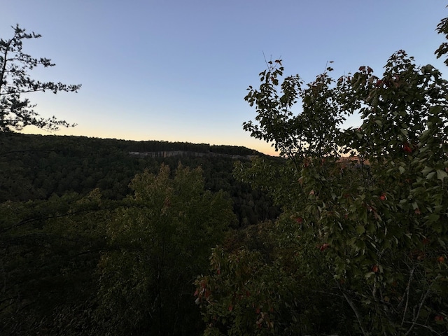 0 Panther Falls Rd, Wilder, TN 38589