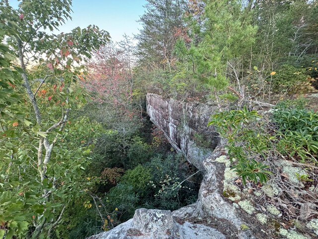 0 Panther Falls Rd, Wilder, TN 38589