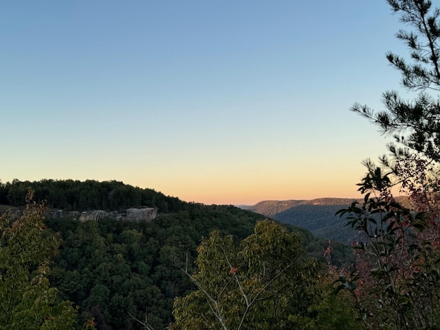 0 Panther Falls Rd, Wilder, TN 38589
