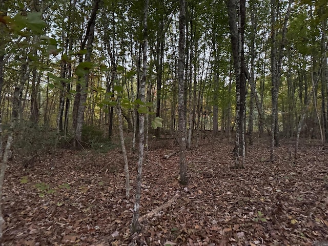 0 Panther Falls Rd, Wilder, TN 38589