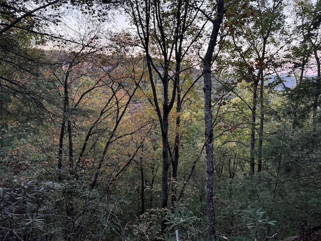 0 Panther Falls Rd, Wilder, TN 38589
