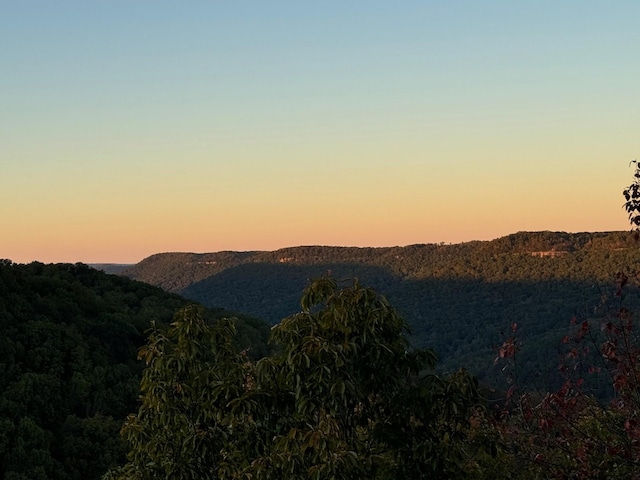 0 Panther Falls Rd, Wilder, TN 38589