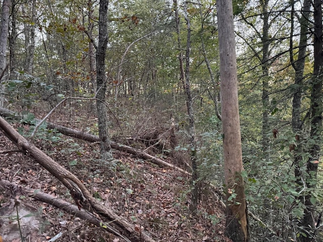 0 Panther Falls Rd, Wilder, TN 38589