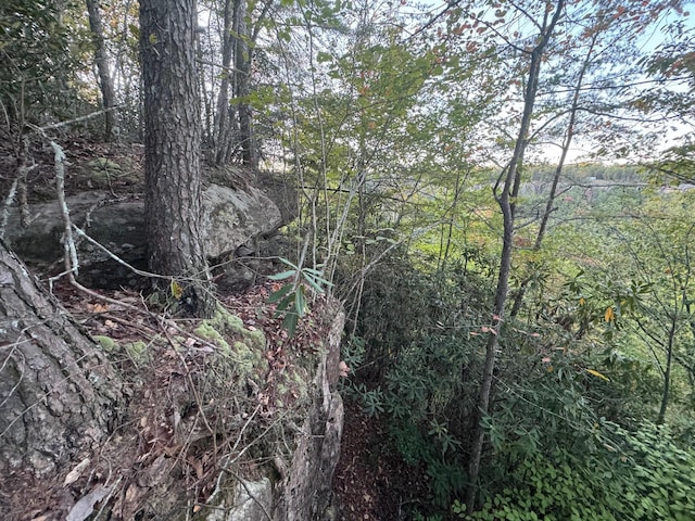 0 Panther Falls Rd, Wilder, TN 38589