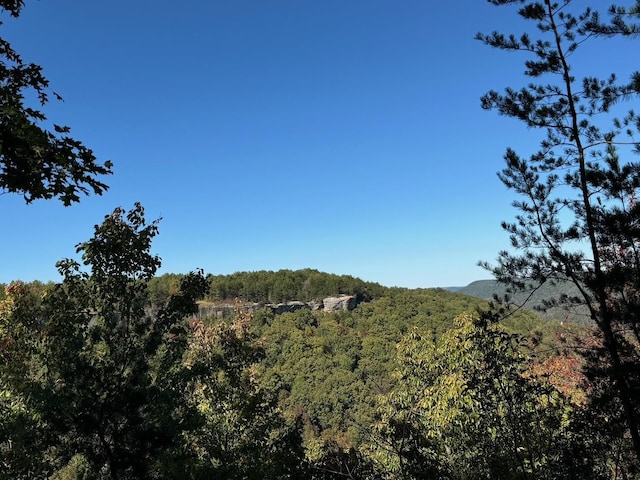 0 Panther Falls Rd, Wilder, TN 38589