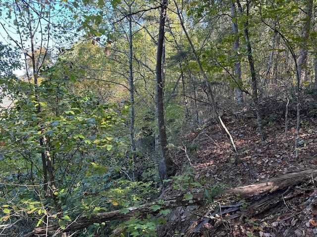0 Panther Falls Rd, Wilder, TN 38589
