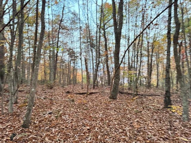 0 Panther Falls Rd, Wilder, TN 38589