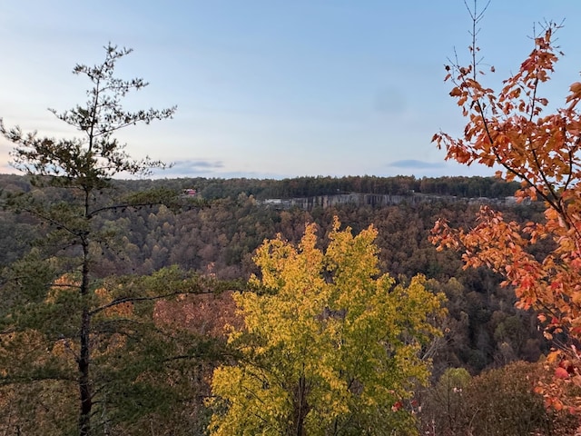 0 Panther Falls Rd, Wilder, TN 38589