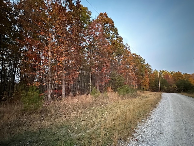0 Panther Falls Rd, Wilder, TN 38589