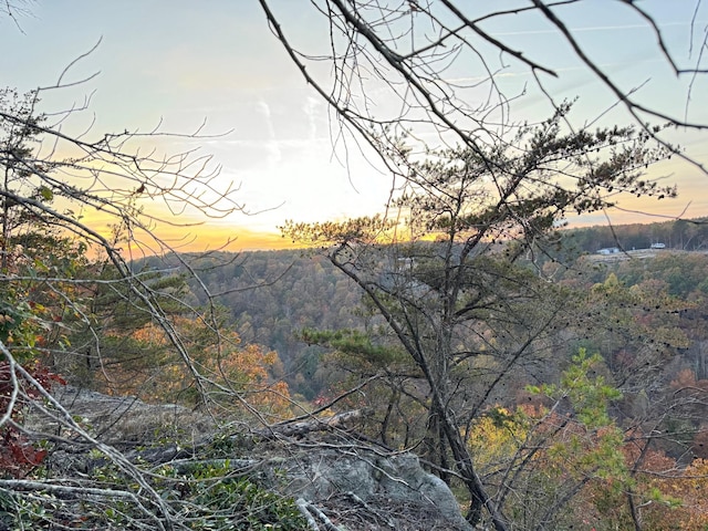 0 Panther Falls Rd, Wilder, TN 38589