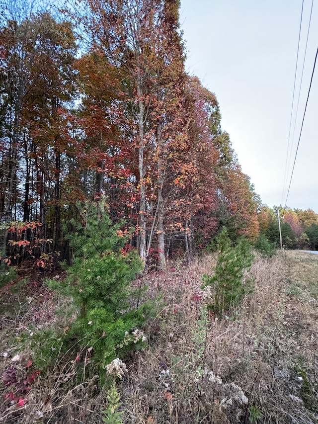 0 Panther Falls Rd, Wilder, TN 38589