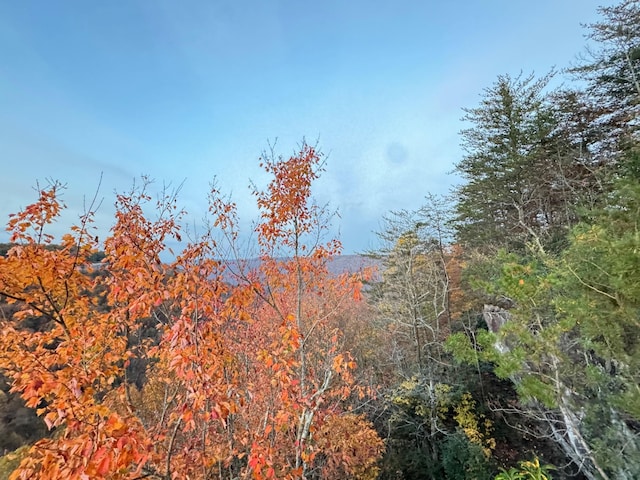 0 Panther Falls Rd, Wilder, TN 38589