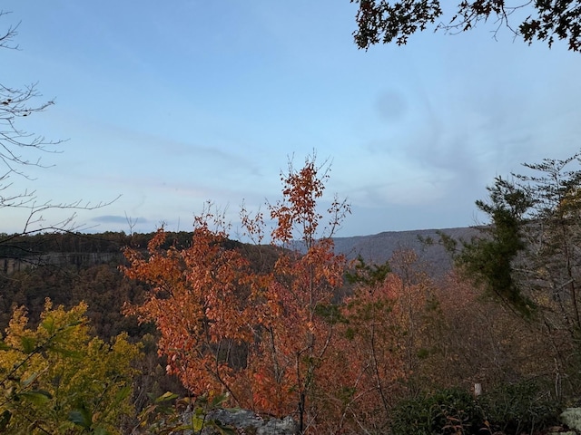 0 Panther Falls Rd, Wilder, TN 38589