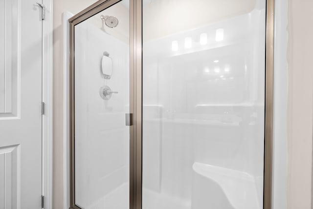 details with a shower with shower door