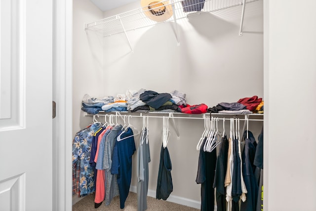 walk in closet with carpet floors