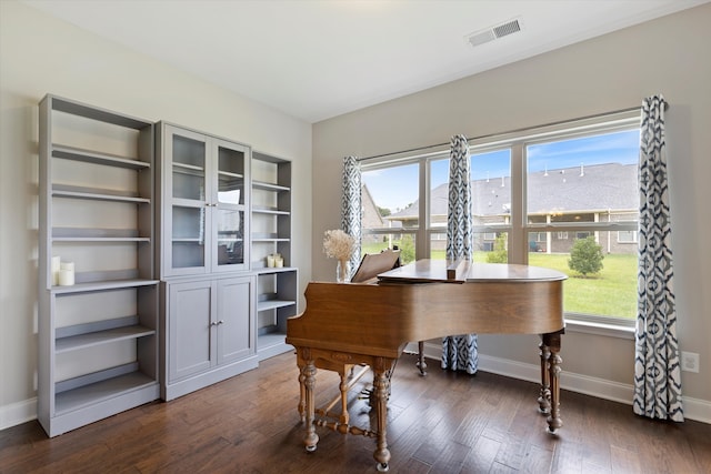 misc room with dark hardwood / wood-style floors and plenty of natural light