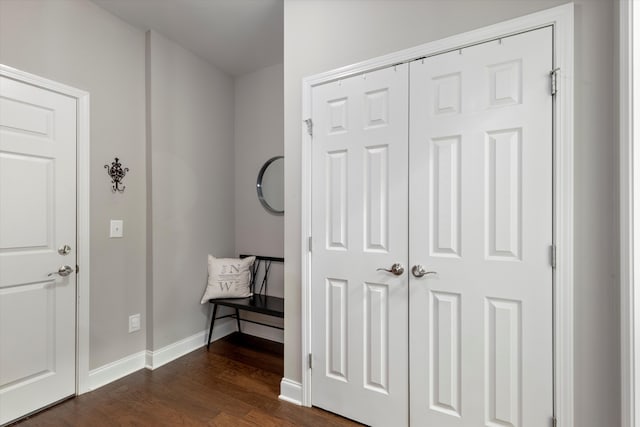 entryway featuring dark wood-type flooring