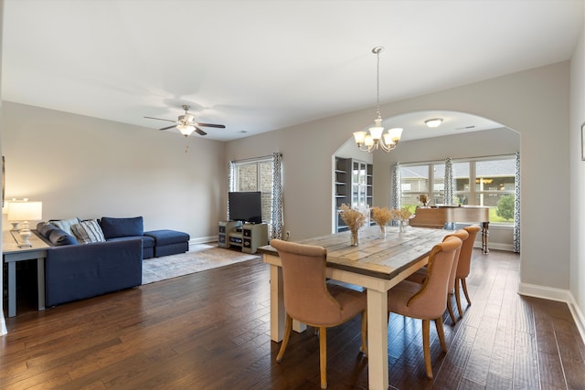 dining room featuring ceiling fan with notable chandelier and dark hardwood / wood-style floors