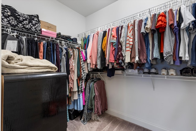 spacious closet featuring carpet floors