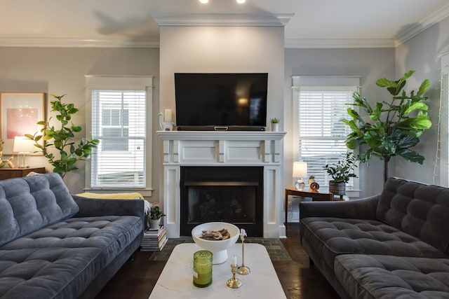 living room with ornamental molding, dark hardwood / wood-style floors, and plenty of natural light