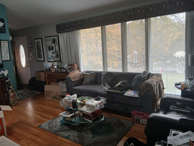 living room featuring a wealth of natural light and hardwood / wood-style flooring