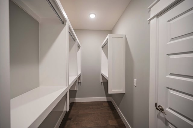 spacious closet featuring dark hardwood / wood-style floors