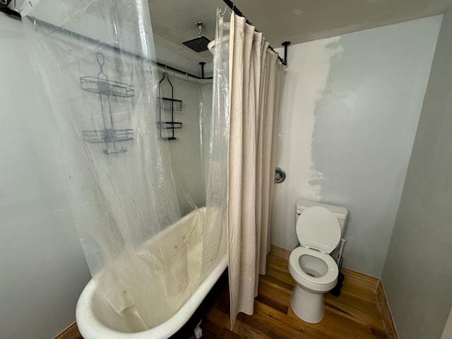 bathroom with a shower with shower curtain, hardwood / wood-style flooring, and toilet