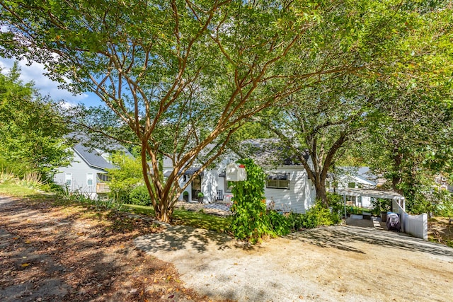 view of yard with a carport