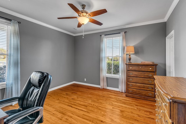 home office with ornamental molding, ceiling fan, plenty of natural light, and light wood-type flooring