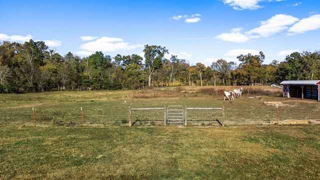 view of yard featuring a rural view