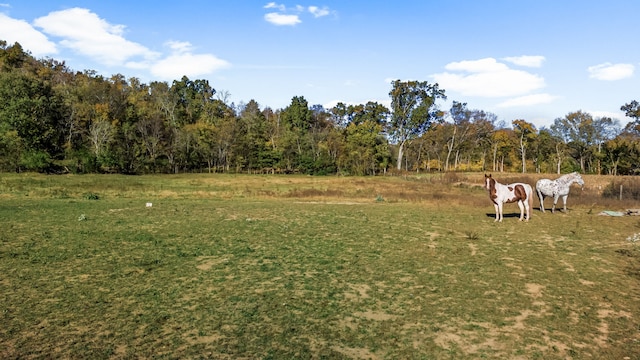 view of yard featuring a wooded view