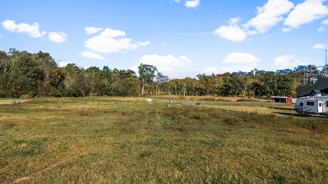 view of yard with a rural view