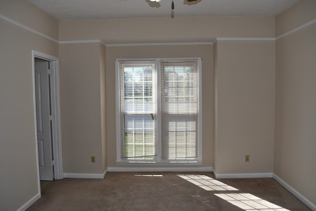 carpeted empty room featuring ceiling fan and ornamental molding