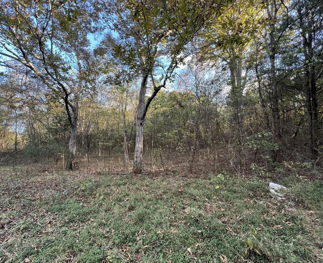 3588 Hartsville Pike, Castalian Springs, TN 37031 - photo 8
